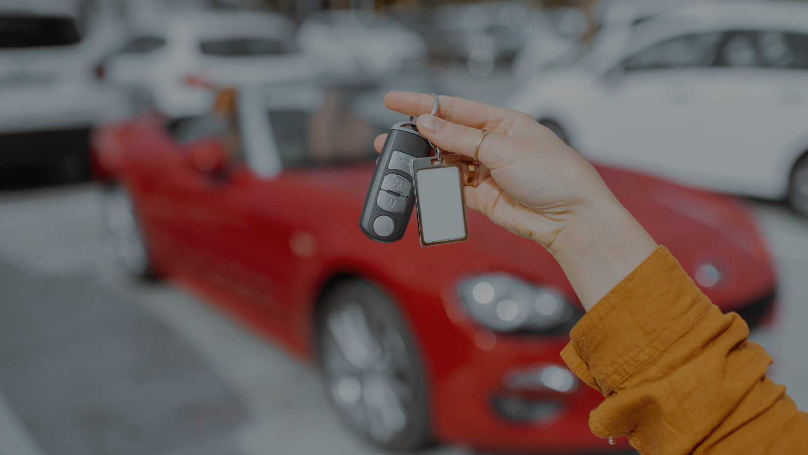 noleggio auto Pavia - Minerva Rent